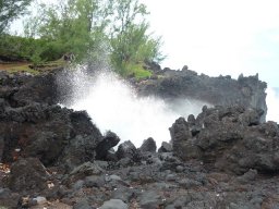 Visite de la petite cousine !